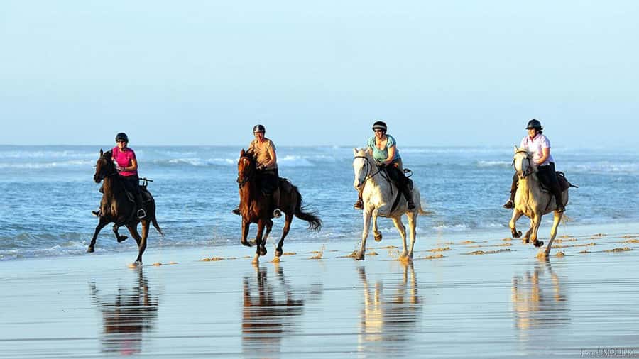 Agadir and Taghazout: 2-Hour Horseback Ride on the Beach - The short ride from your hotel to the ranch