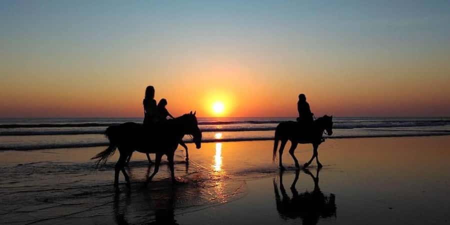 Agadir and Taghazout: 2-Hour Horseback Ride on the Beach - The guides make the difference