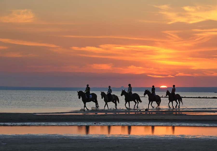 Agadir and Taghazout: 2-Hour Horseback Ride on the Beach - Small group size and the feel of the ride