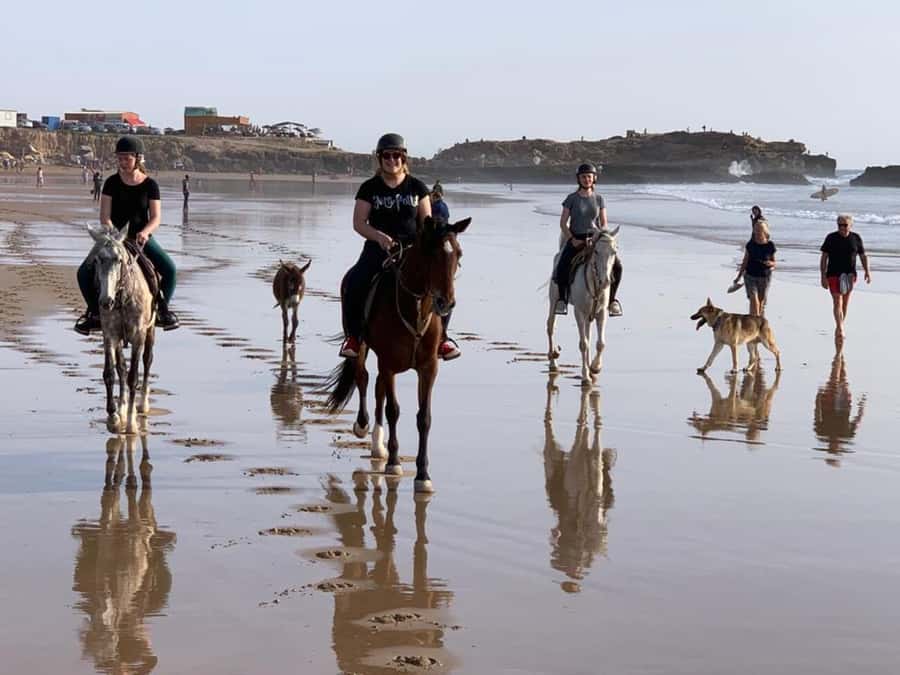 Agadir and Taghazout: 2-Hour Horseback Ride on the Beach - Is $176 a fair price?