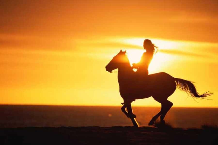 Agadir and Taghazout: 2-Hour Horseback Ride on the Beach - Meeting the horses and choosing your pace