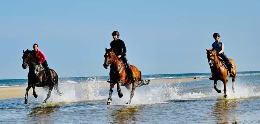 Agadir and Taghazout: Morning Horse Ride on The Beach - Guides who make beginners feel at ease