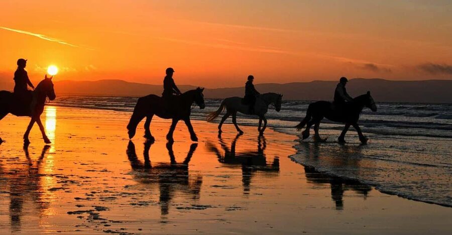 Agadir and Taghazout: Morning Horse Ride on The Beach - Who should book this experience