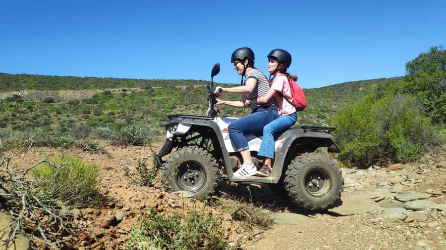 Agadir: ATV Quad Biking and Goats On Argan Trees with Tea - Meeting the goats in the argan trees