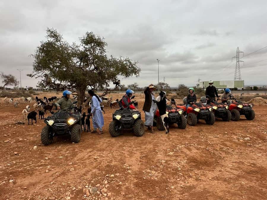 Agadir: ATV Quad Biking and Goats On Argan Trees with Tea - Mint tea under a Berber tent