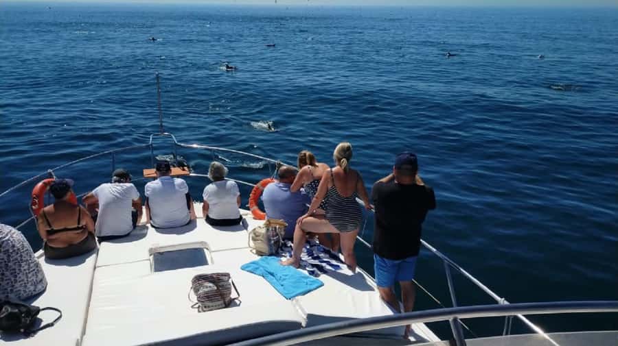Agadir: Boat Trip with Fishing, Swimming, and BBQ Lunch - Returning to port by about 3:00 PM