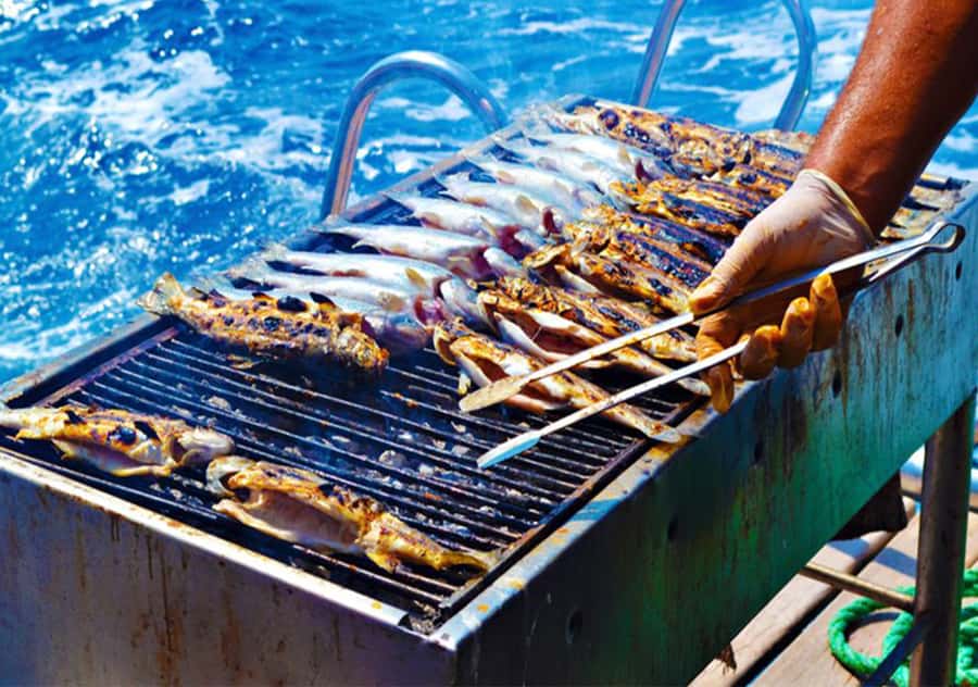 Agadir: Boat Trip with Fishing, Swimming, and BBQ Lunch - Who will enjoy this boat trip most?