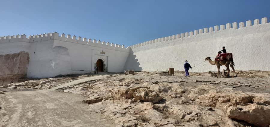 Agadir: Cable Car Ticket and Guided City Tour - Learning about argan oil at a local cooperative