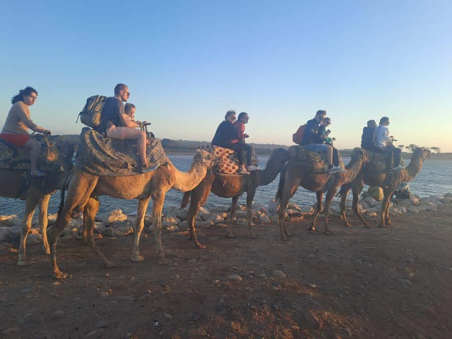Agadir: Camel or Horse Ride + BBQ & Transfer Sunset Optional - Key things to know before you go