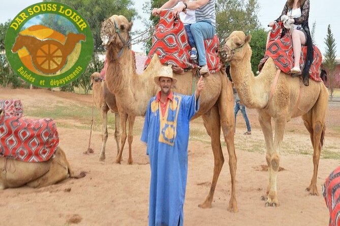 Agadir Camel Ride Experience - Key points to know before booking