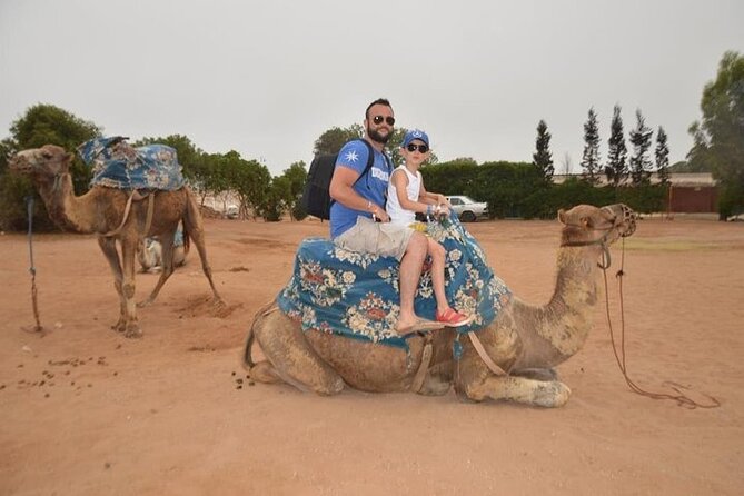 Agadir Camel Ride Experience - The Souss estuary and possible flamingos