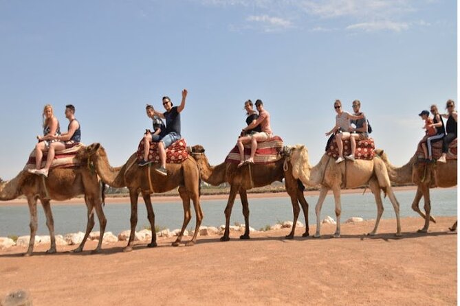 Agadir Camel Ride Experience - Mint tea, Moroccan cakes, and the return to the ranch