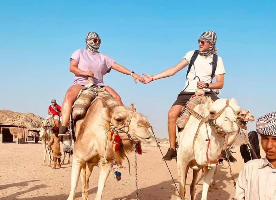 Agadir: Camel Ride Experience With Dinner Option - Key things to know before booking