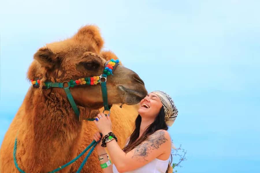 Agadir: Camel Ride Experience With Dinner Option - What the Agadir camel ride is really like
