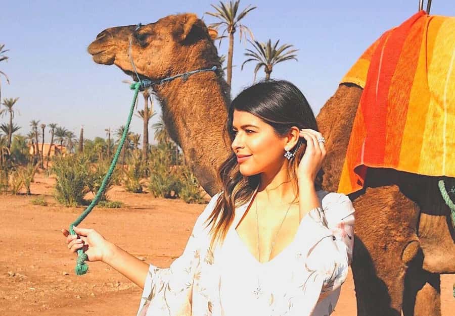 Agadir: Camel Ride Experience With Dinner Option - Sunset timing needs careful planning