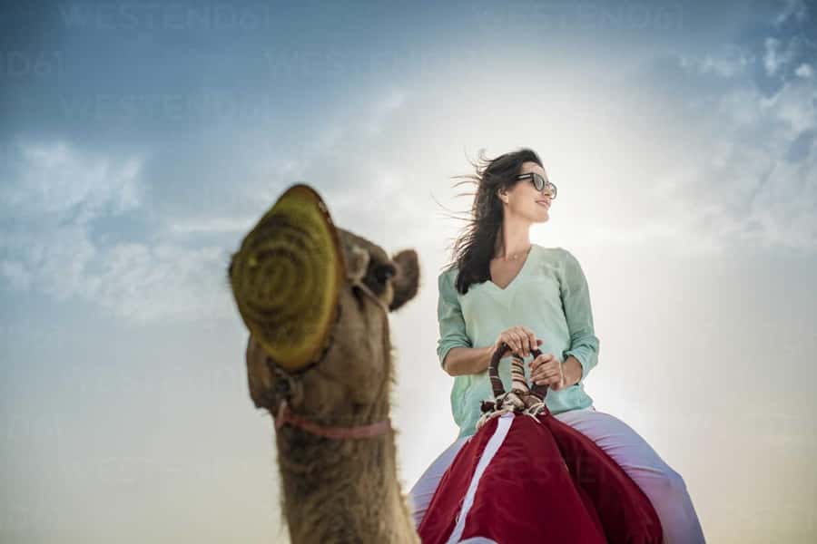 Agadir: Camel Ride Experience With Dinner Option - How good is the value at $23?