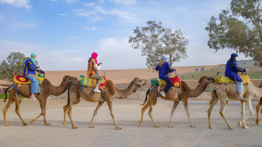 Agadir: Camel Ride Experience With Dinner Option - Hotel pickup and the short ride to the ranch