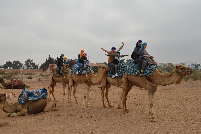 Agadir Camel Ride Experience - Meeting the dromedaries and getting comfortable