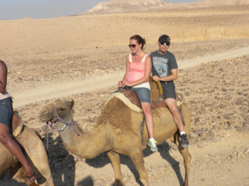 Agadir Camel Ride Flamingo River & BBQ Dinner - The final call: book it for the ride, not the hype