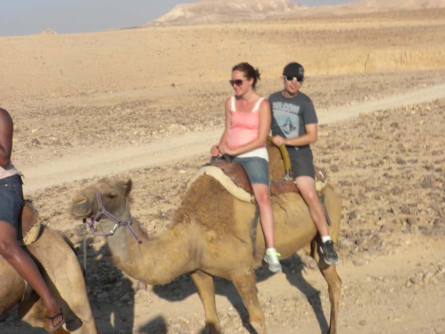 Agadir Camel Ride Flamingo River & BBQ Dinner - From Agadir hotel to the camel camp