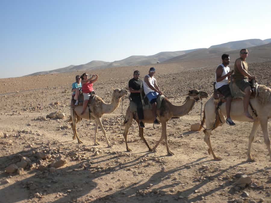 Agadir Camel Ride Flamingo River & BBQ Dinner - BBQ dinner or a simple tea outing?