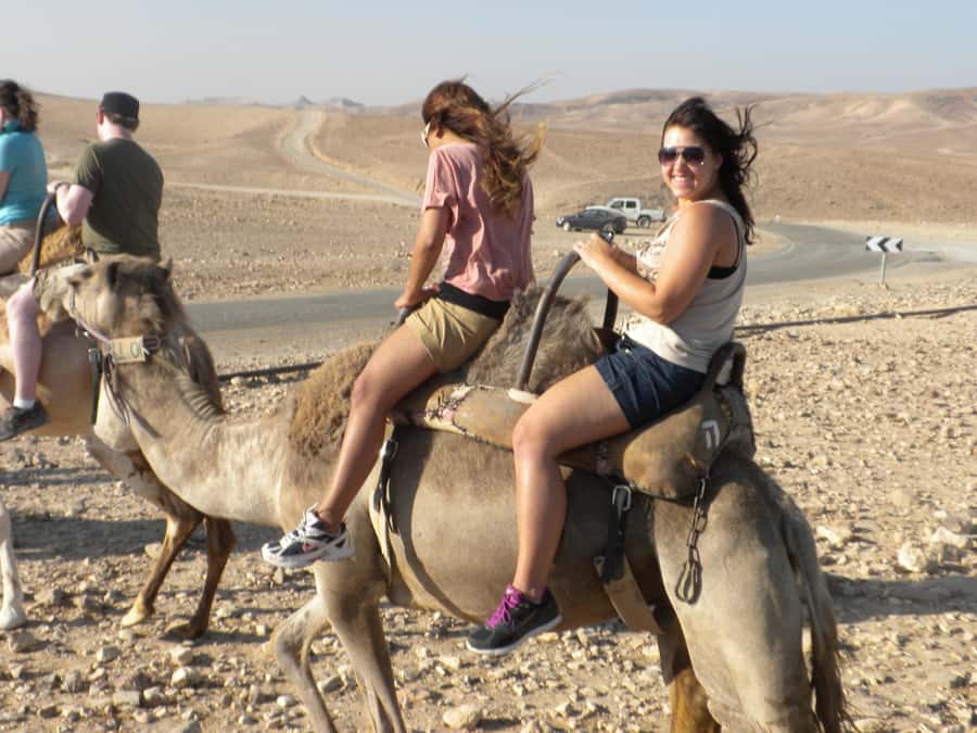 Agadir Camel Ride Flamingo River & BBQ Dinner - Riding the sandy tracks and eucalyptus forest
