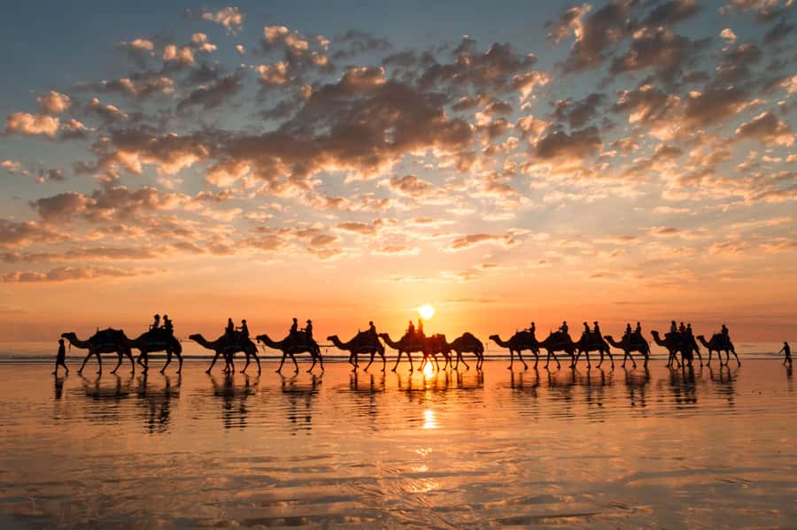 Agadir: Camel Ride With Tea - Key Points Before You Book