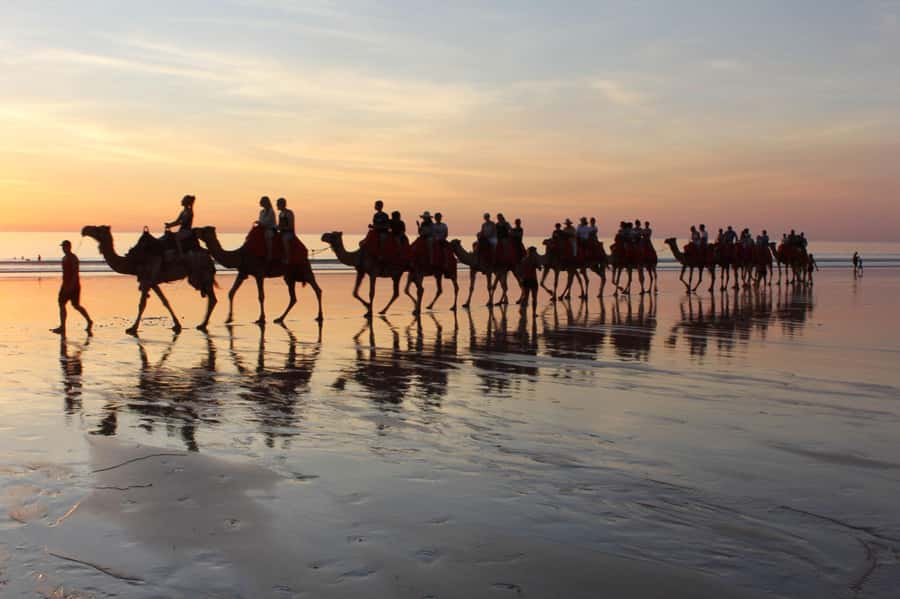 Agadir: Camel Ride With Tea - A Gentle Ride Just Outside Agadir
