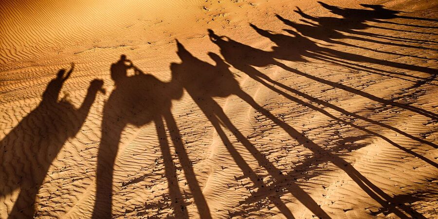 Agadir: Camel Ride With Tea - Who Will Enjoy This Experience Most?