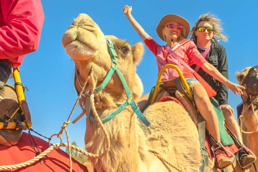 Agadir: Camel Ride With Tea & BBQ Dinner Option - Key Points Before You Book