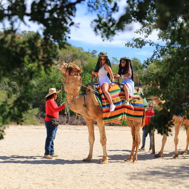 Agadir: Camel Ride With Tea & BBQ Dinner Option - A Short Ride From Agadir to the Camel Ranch