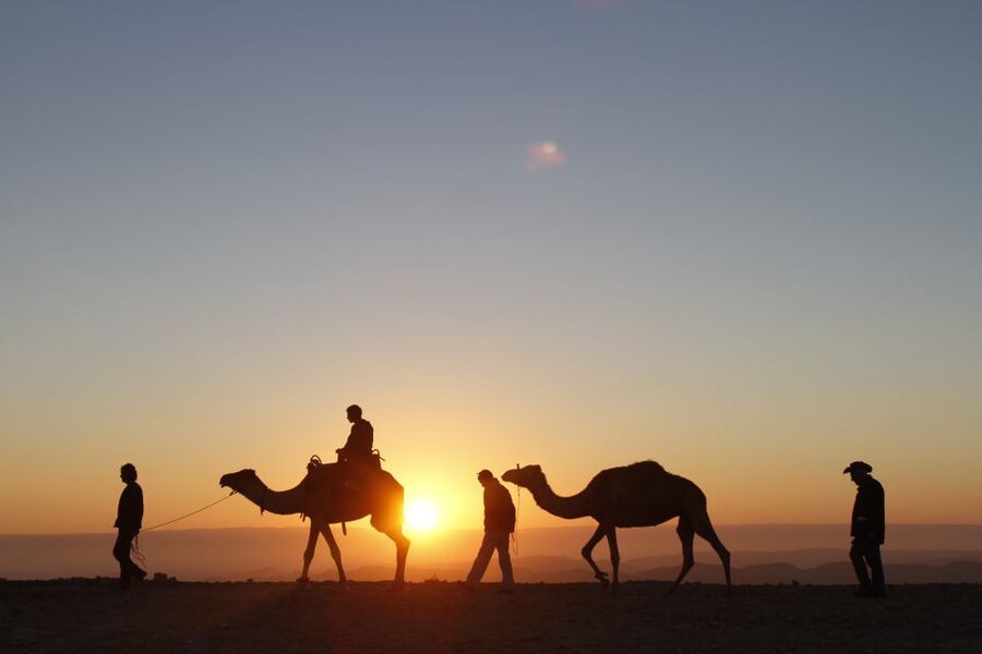 Agadir: Camel Ride With Tea & BBQ Dinner Option - Is the BBQ Dinner Worth Adding?