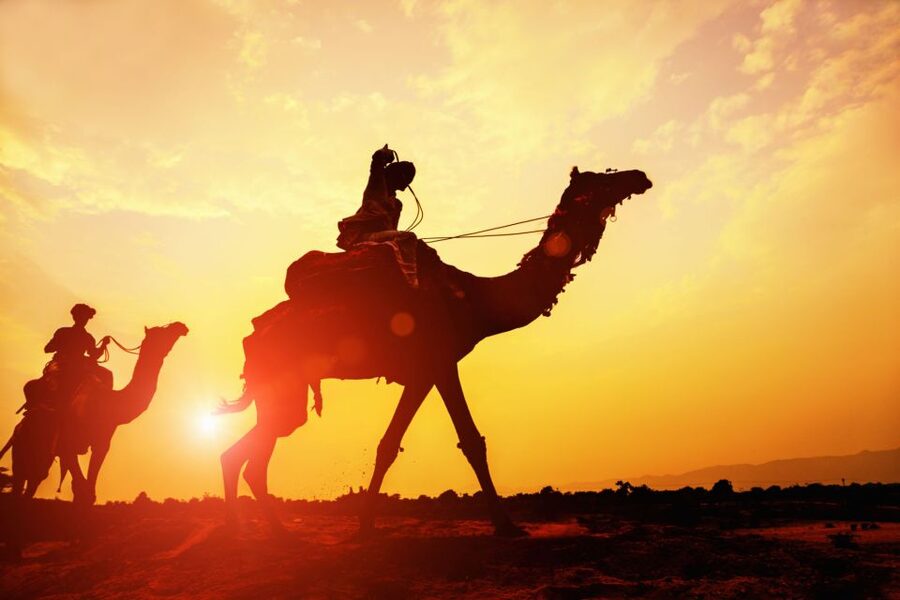 Agadir: Camel Ride With Tea & BBQ Dinner Option - Guides, Drivers, and Group Atmosphere