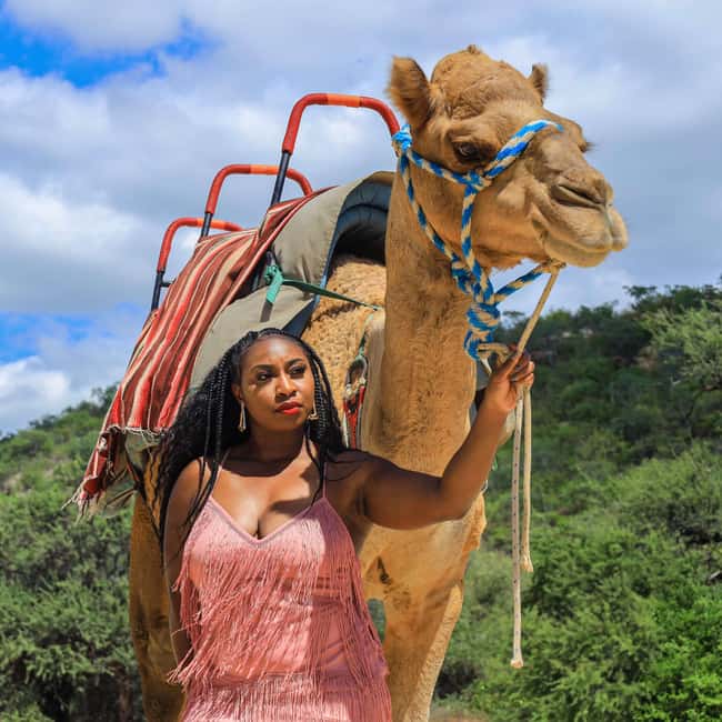 Agadir: Camel Ride With Tea & BBQ Dinner Option - Timing, Clothing, and Small Practical Tips