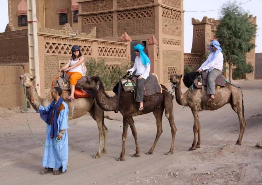 Agadir: Camel Ride With Tea & BBQ Dinner Option - What the Camel Route Is Really Like