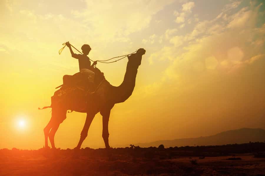 Agadir: Camel Ride With Tea - What the Camel Ride Is Really Like