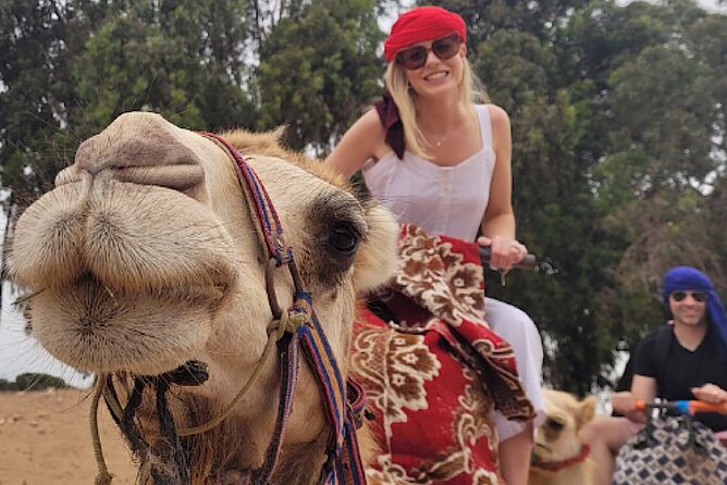 Agadir Camel Rides with Tea Drink & cakes - Key points to know before booking