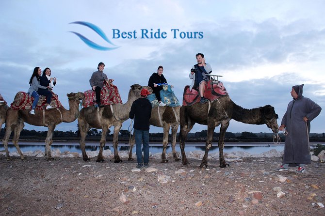 Agadir Camel Riding - Crossing eucalyptus trees and low sand dunes