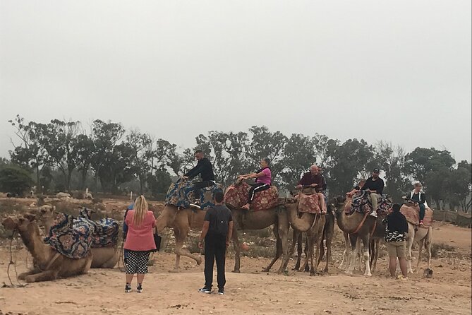 Agadir Camel Riding - What the camel ride feels like for a first-timer