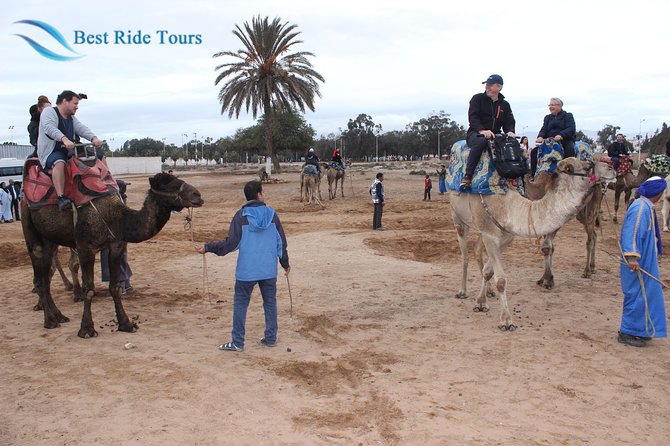 Agadir Camel Riding - The guides make the biggest difference