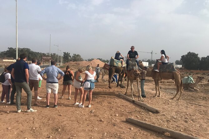 Agadir Camel Riding - Who will enjoy this Agadir camel ride