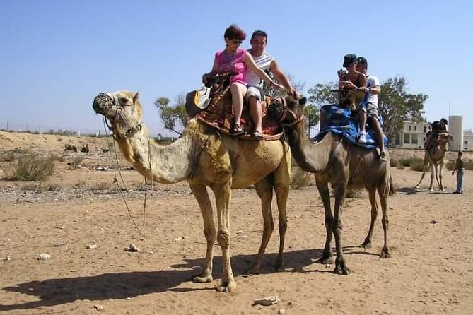 Agadir Camel Riding +Sunset and Dinner( barbecue) - Who will enjoy this outing most