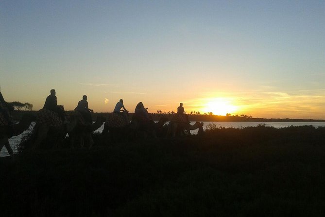 Agadir Camel Riding +Sunset and Dinner( barbecue) - Shared camels and comfort on the ride