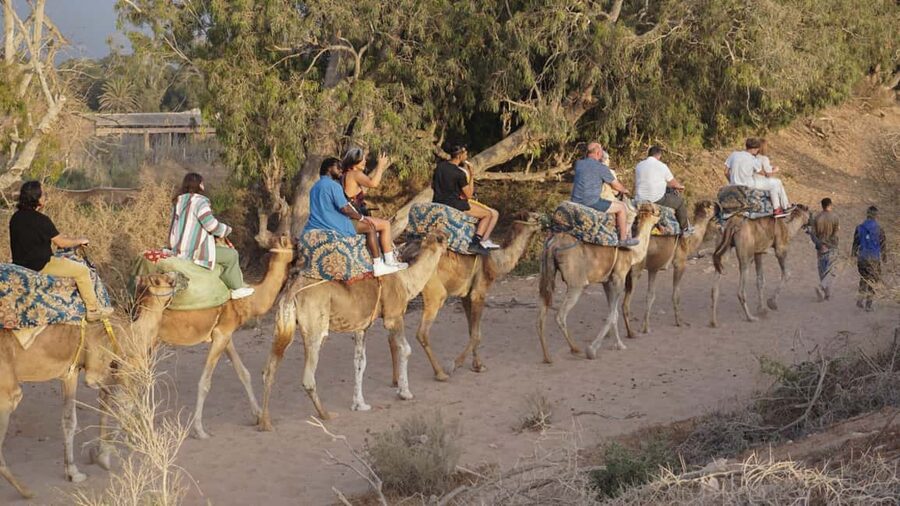Agadir: Camel Riding Tour with Tea Drink - Practical advice for a smoother ride