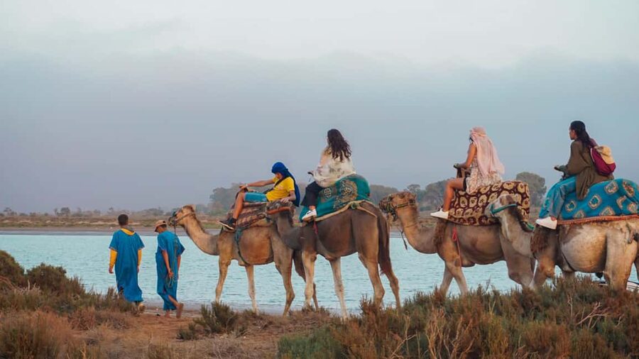 Agadir: Camel Riding Tour with Tea Drink - What this Agadir camel ride is really like