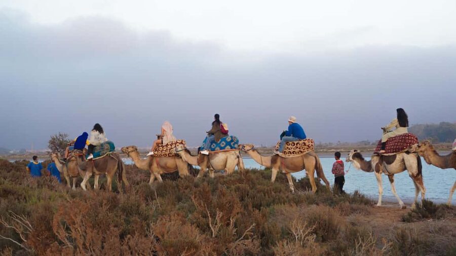 Agadir: Camel Riding Tour with Tea Drink - The scenery can be green, open, and river-side