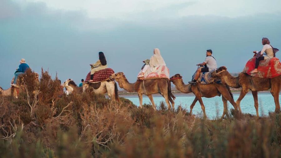 Agadir: Camel Riding Tour with Tea Drink - Mint tea is the right ending