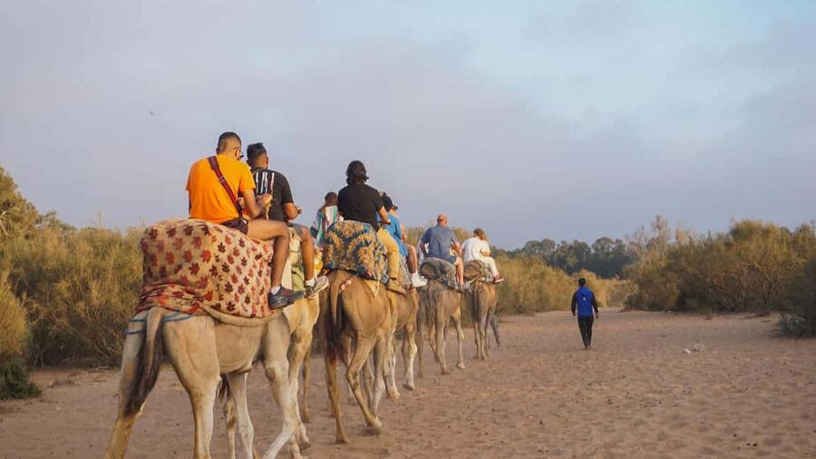 Agadir: Camel Riding Tour with Tea Drink - Dinner changes the value