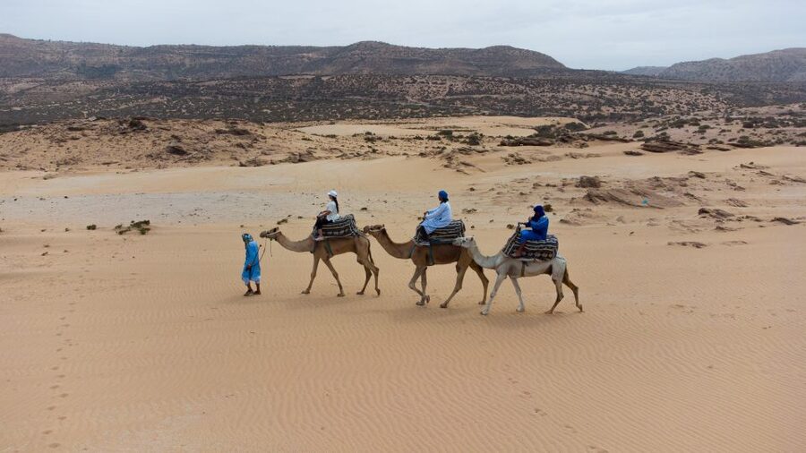 Agadir: Camel Riding Tour with Tea Drink - How the price compares with the experience