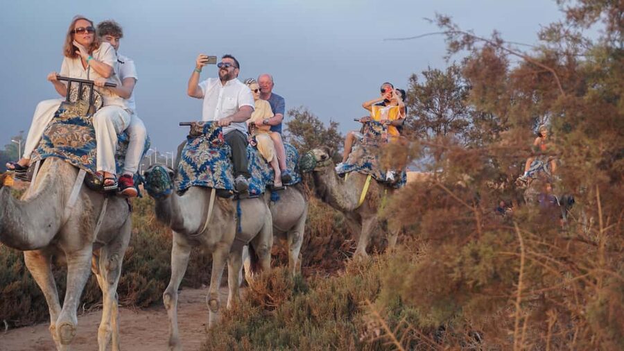 Agadir: Camel Riding Tour with Tea Drink - Hotel pickup sets the tone
